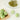 Green Plum Refreshing Cleanser