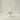 Calming Serum Green Tea + Panthenol