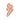 Super BB Concealer au Ginseng Clair 10ml