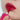 Dear Darling Water Tint #01 Strawberry Ade