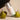 Centella 4% TXA Dark Spot Go Away Serum