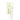 Centella Calming Daily Sunscreen