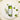 CICA Tea Tree AHA PHA Toner